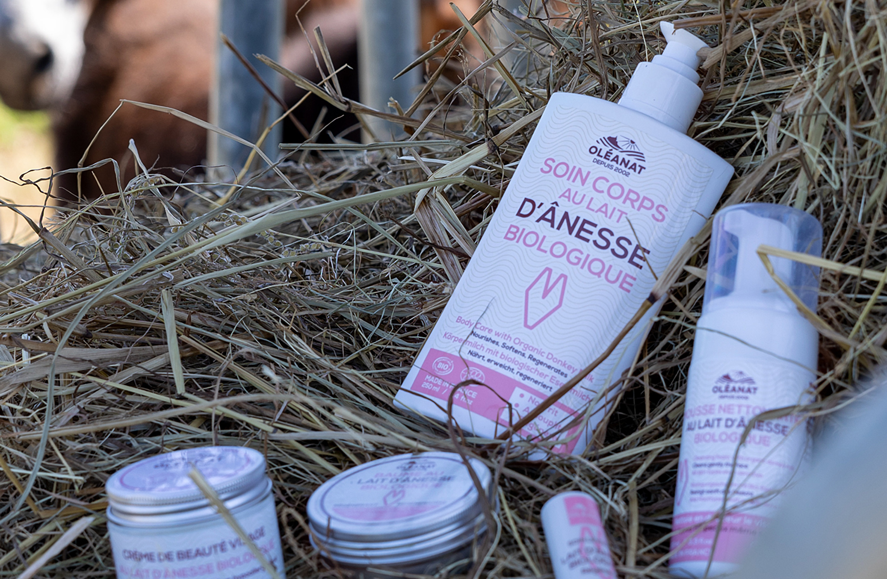 Cosmétiques au lait d'ânesse bio — free download